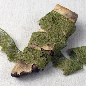 Dentelle Floral in Moss