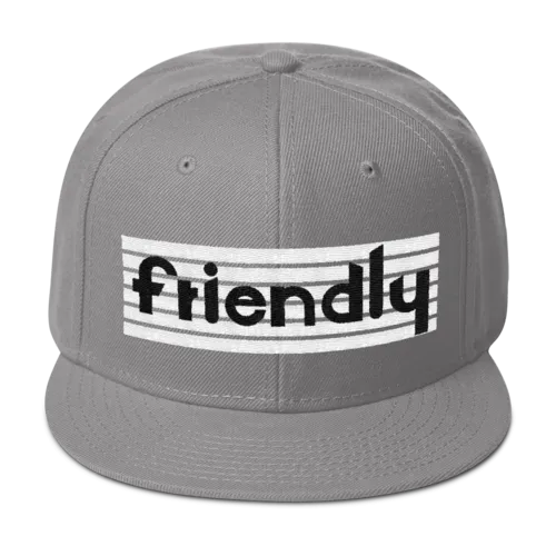 Friendly Snapback Hat: Lt Grey