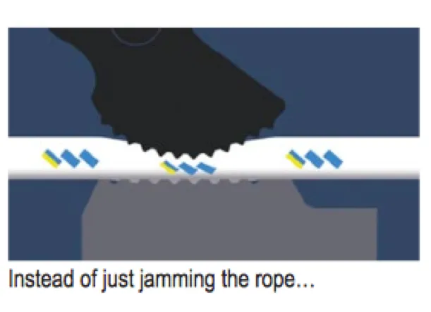 Lewmar DC1 Triple Rope Clutch - 3 Rope Size Options