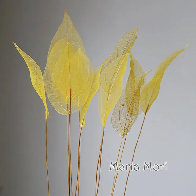 Lucency Leaves Natural Leaf Vein Immortal Flowers  Real Natural Floral Wedding Table Decoration