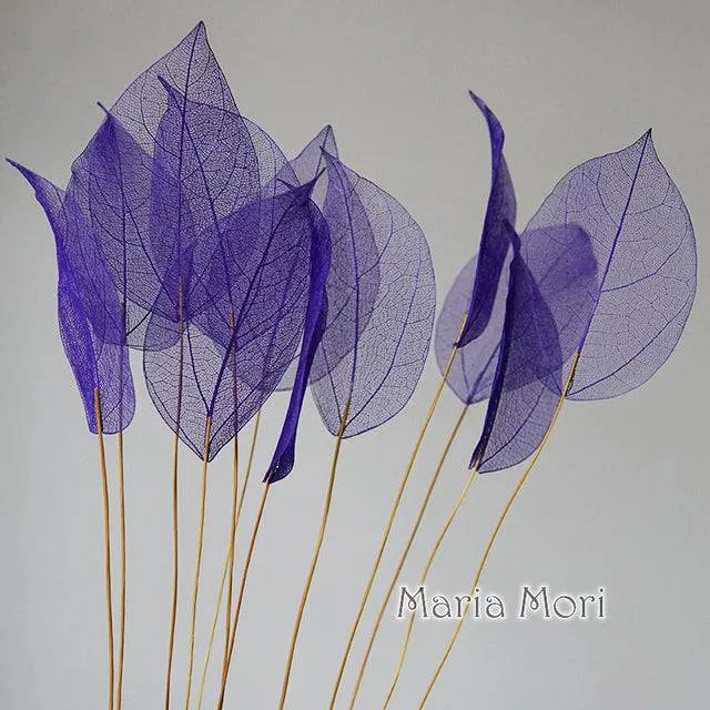 Lucency Leaves Natural Leaf Vein Immortal Flowers  Real Natural Floral Wedding Table Decoration
