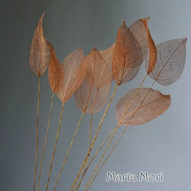 Lucency Leaves Natural Leaf Vein Immortal Flowers  Real Natural Floral Wedding Table Decoration