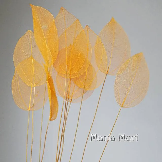 Lucency Leaves Natural Leaf Vein Immortal Flowers  Real Natural Floral Wedding Table Decoration