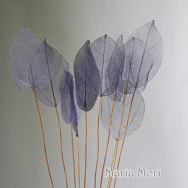 Lucency Leaves Natural Leaf Vein Immortal Flowers  Real Natural Floral Wedding Table Decoration