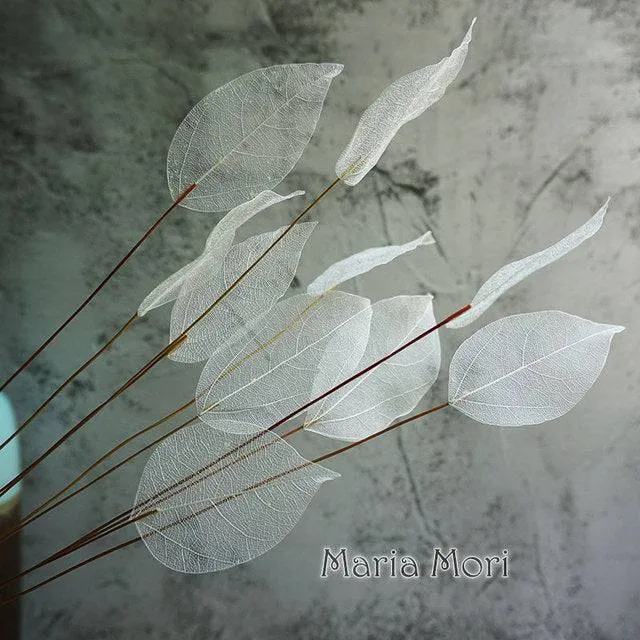 Lucency Leaves Natural Leaf Vein Immortal Flowers  Real Natural Floral Wedding Table Decoration