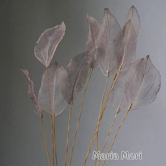 Lucency Leaves Natural Leaf Vein Immortal Flowers  Real Natural Floral Wedding Table Decoration