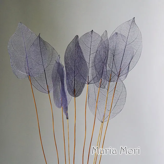 Lucency Leaves Natural Leaf Vein Immortal Flowers  Real Natural Floral Wedding Table Decoration