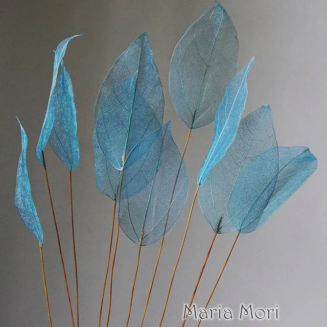 Lucency Leaves Natural Leaf Vein Immortal Flowers  Real Natural Floral Wedding Table Decoration